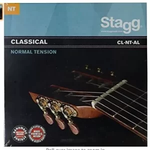 Stagg Classical NT strings